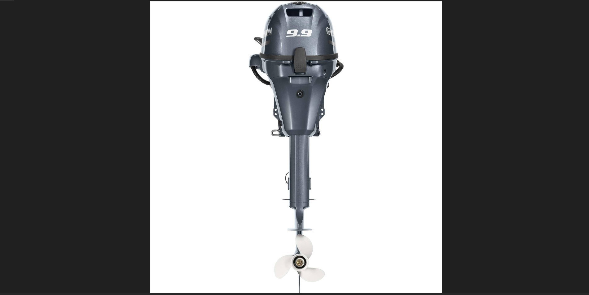 2024 Yamaha T9.9LPB - Remote0