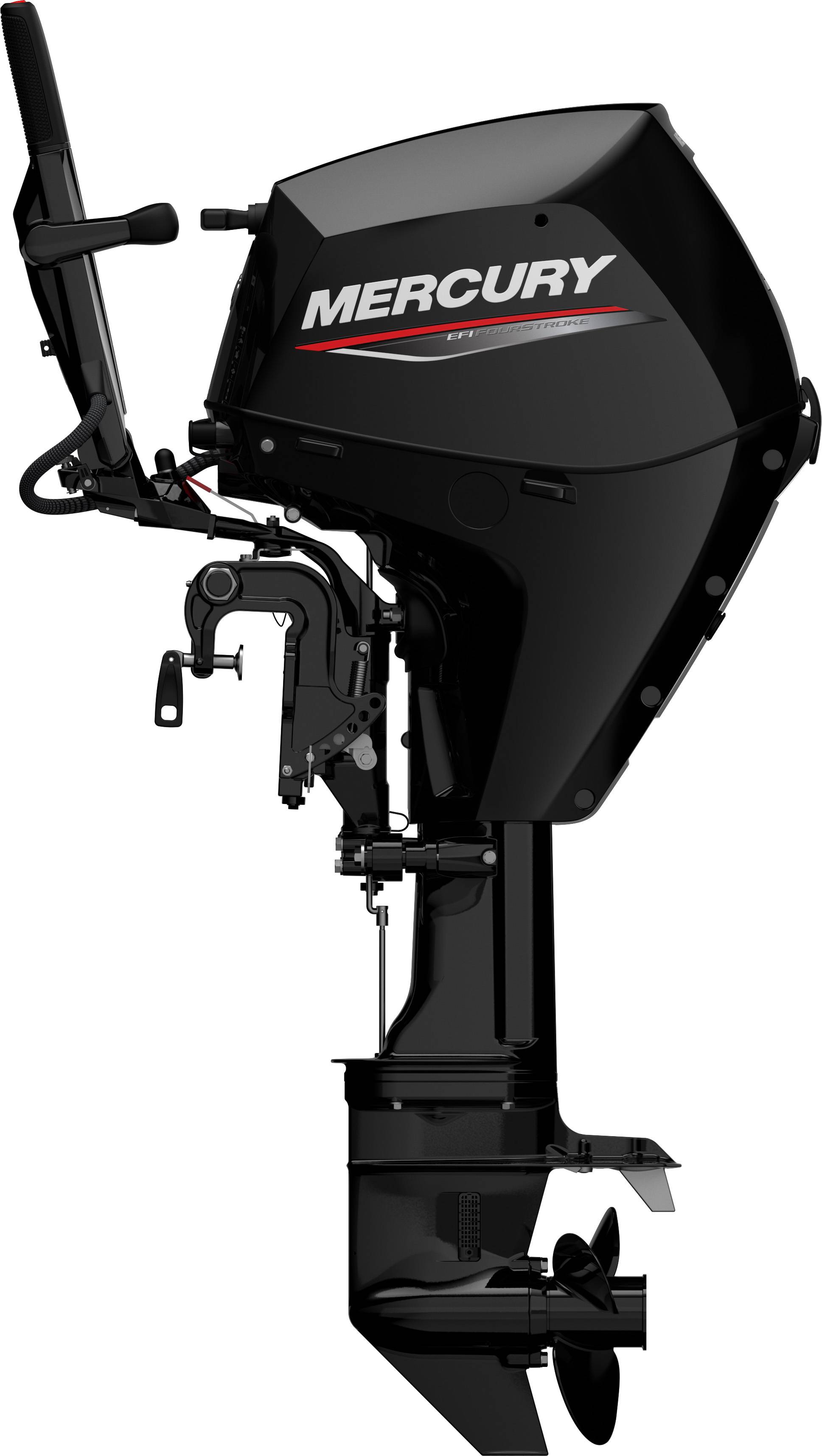 2026 Mercury Marine 25 ELHPT