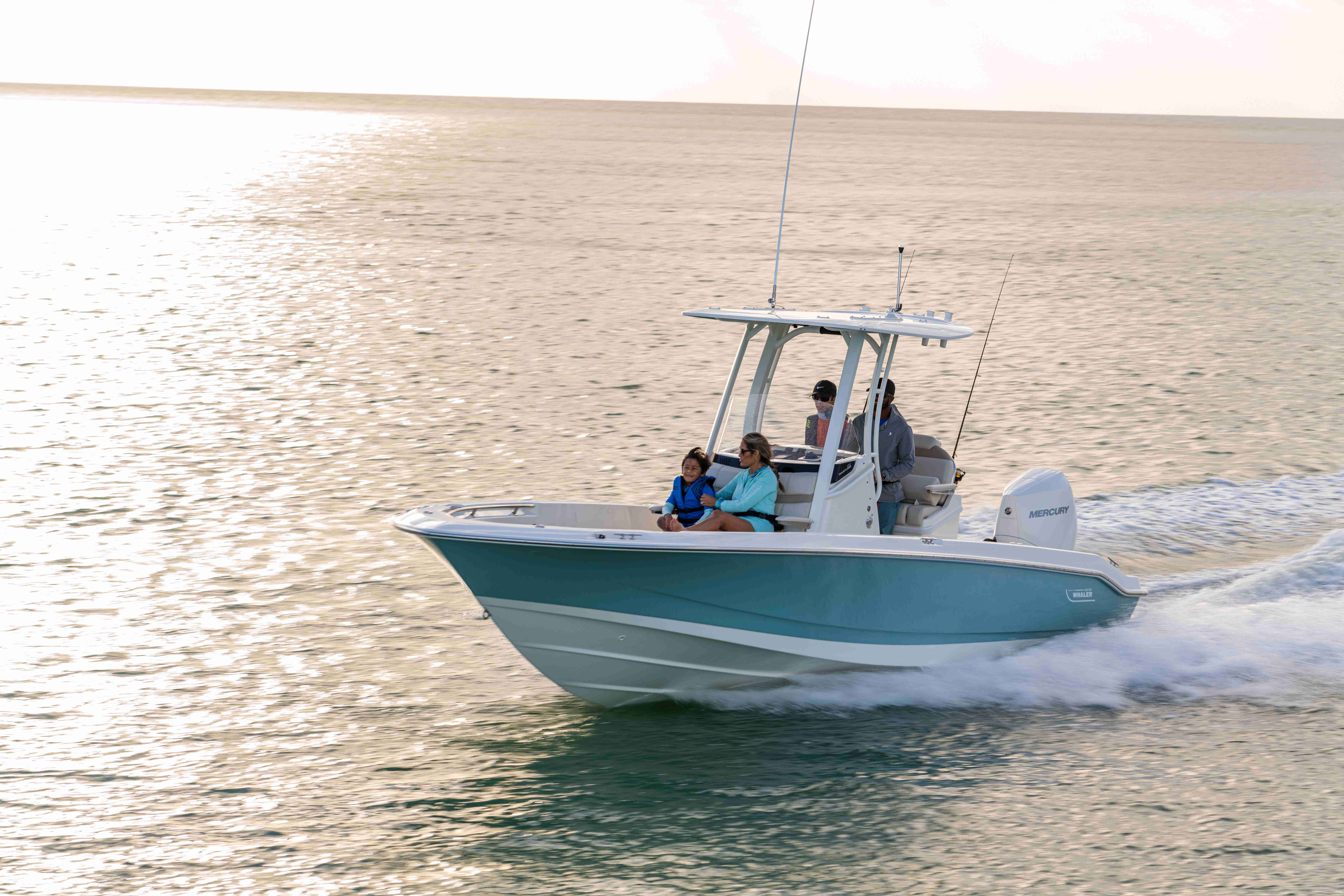 2026 Boston Whaler 250 Dauntless-4
