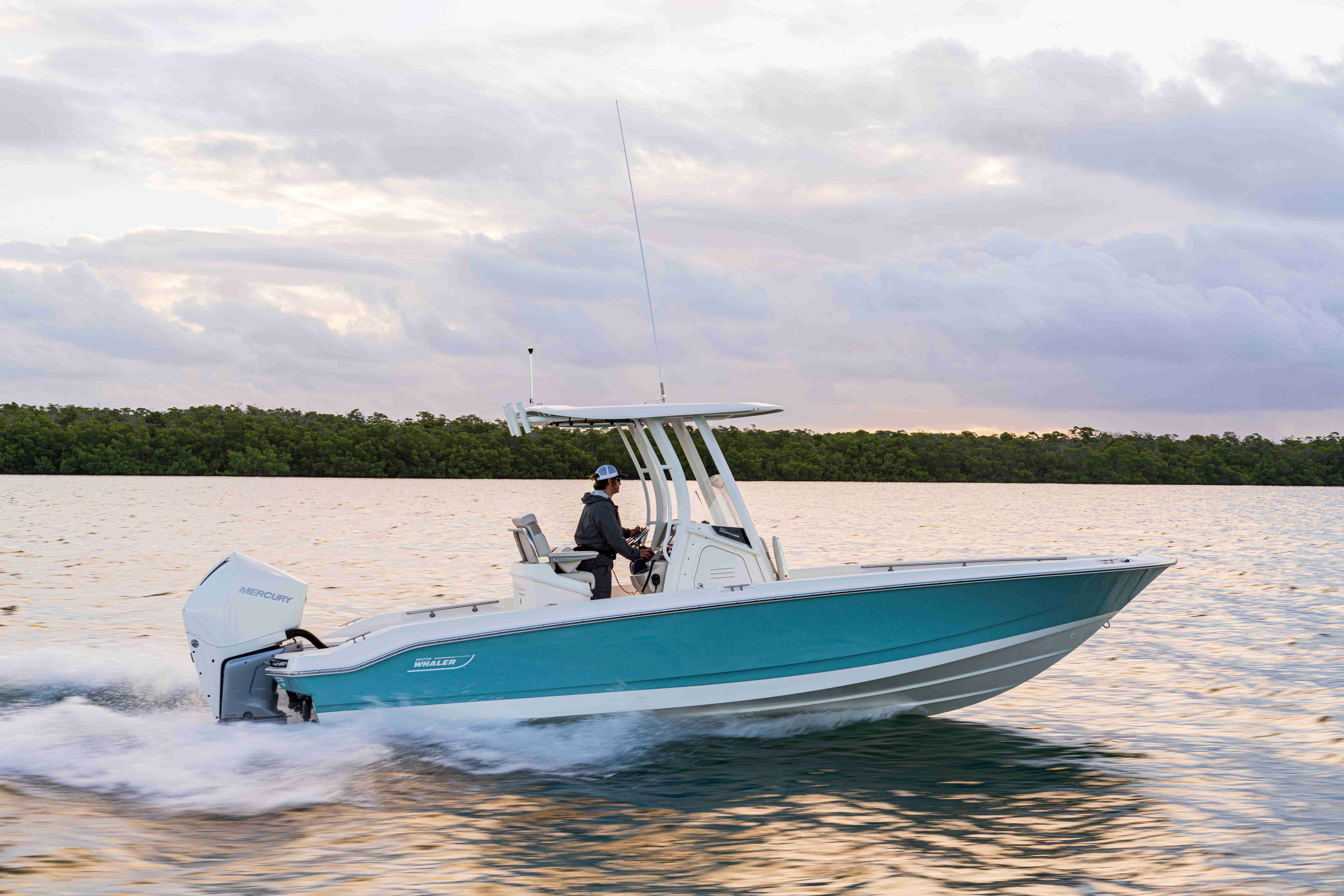 2026 Boston Whaler 250 Dauntless-3