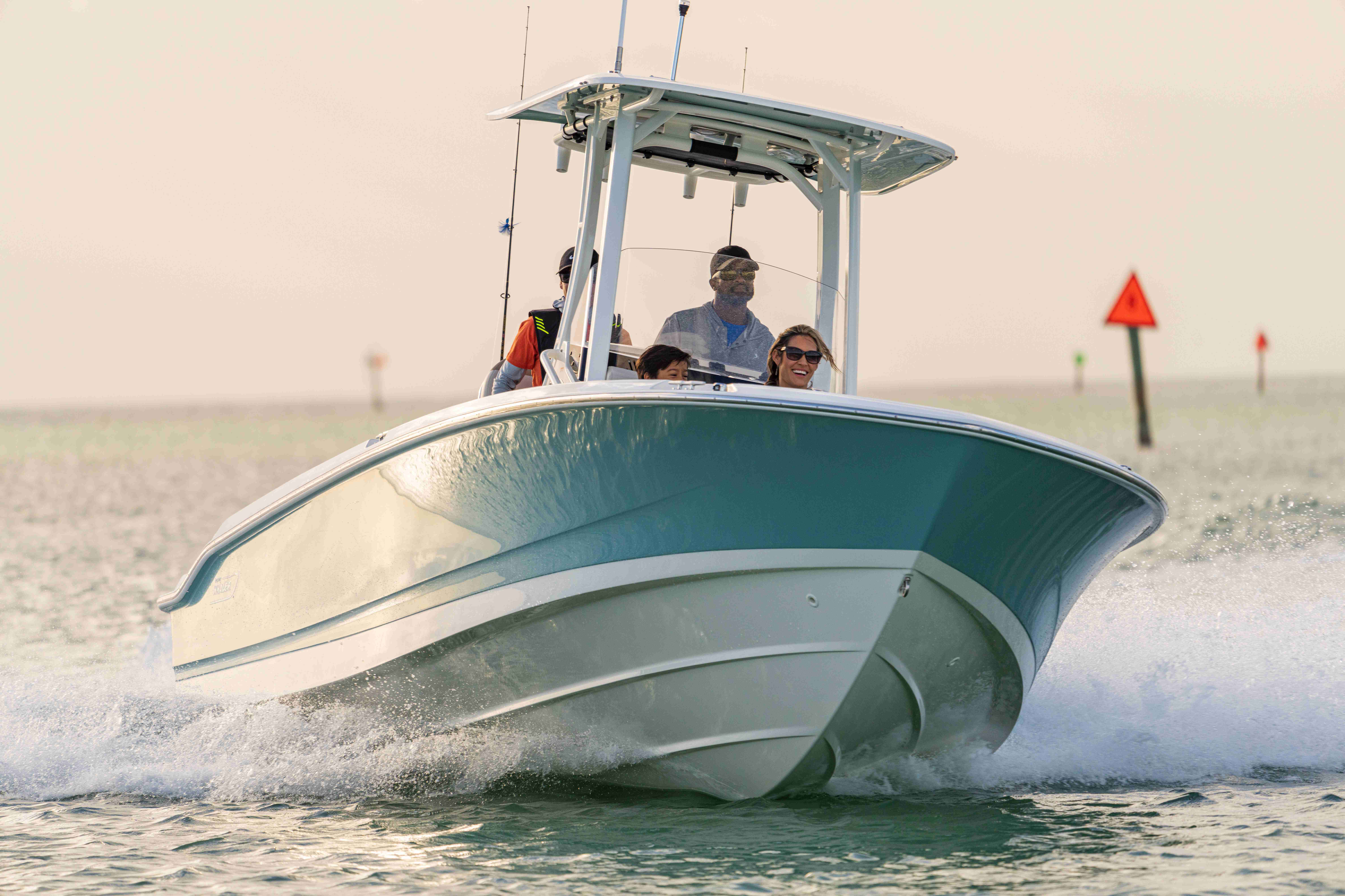 2026 Boston Whaler 250 Dauntless-5