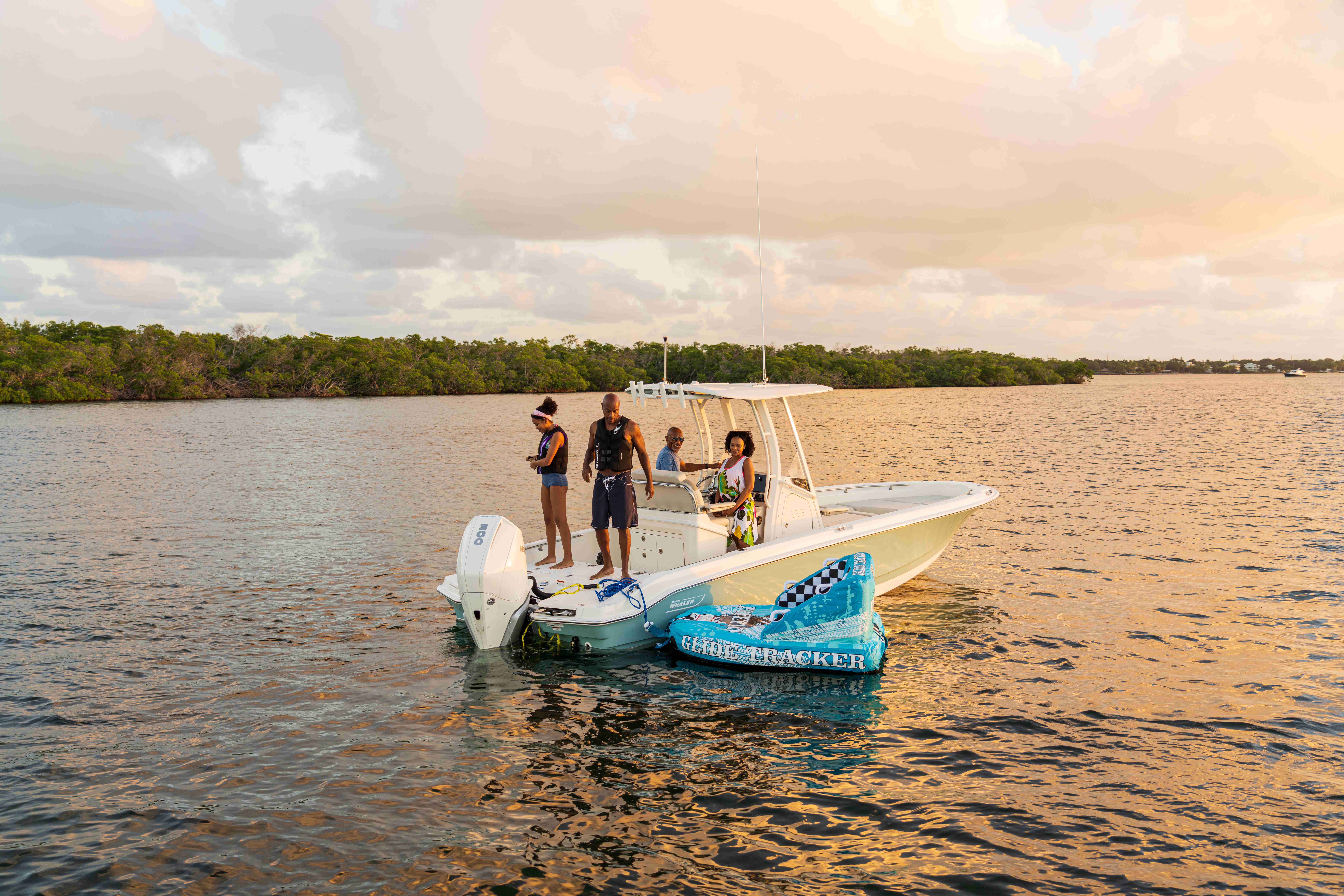 2026 Boston Whaler 250 Dauntless-27