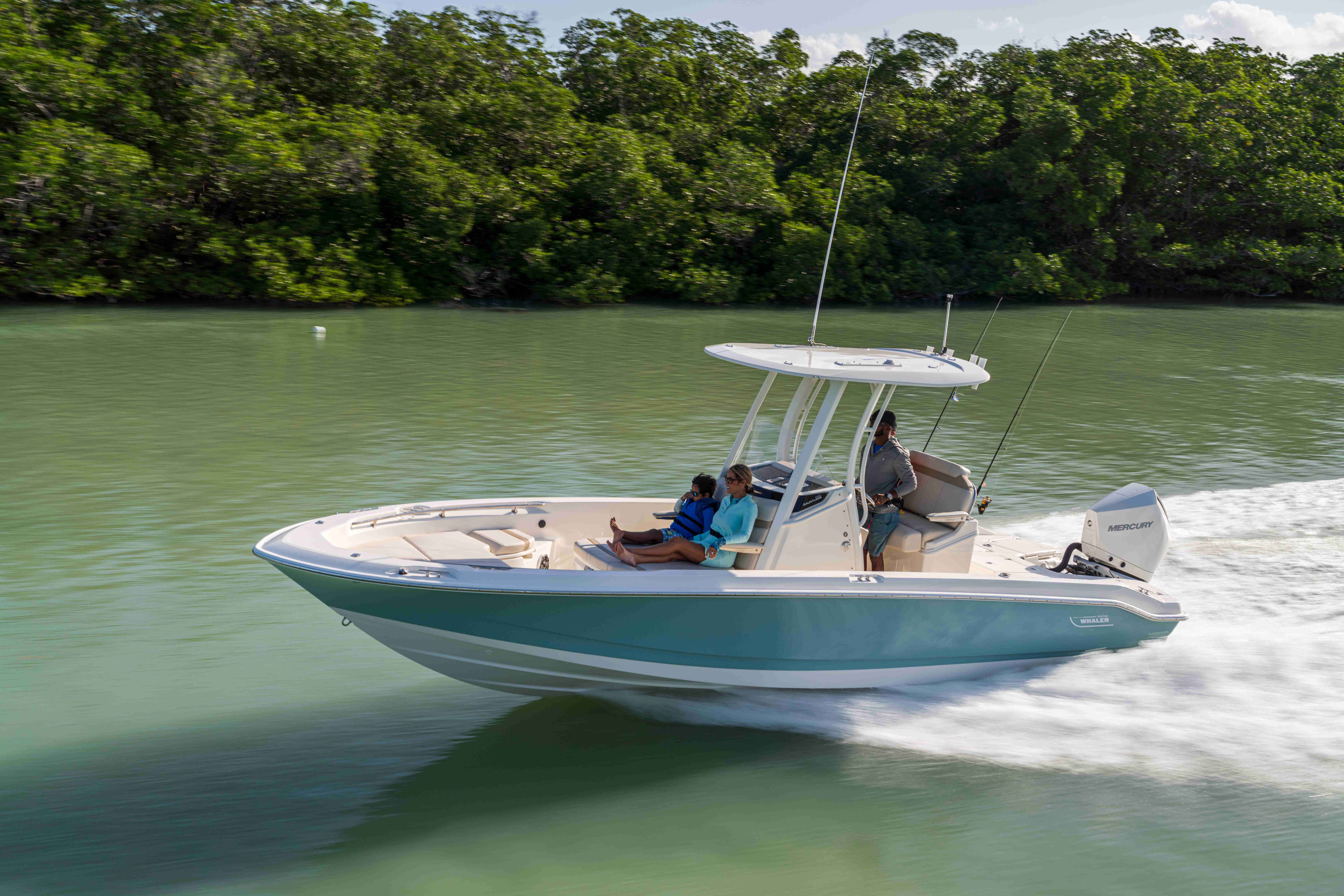 2026 Boston Whaler 250 Dauntless-6