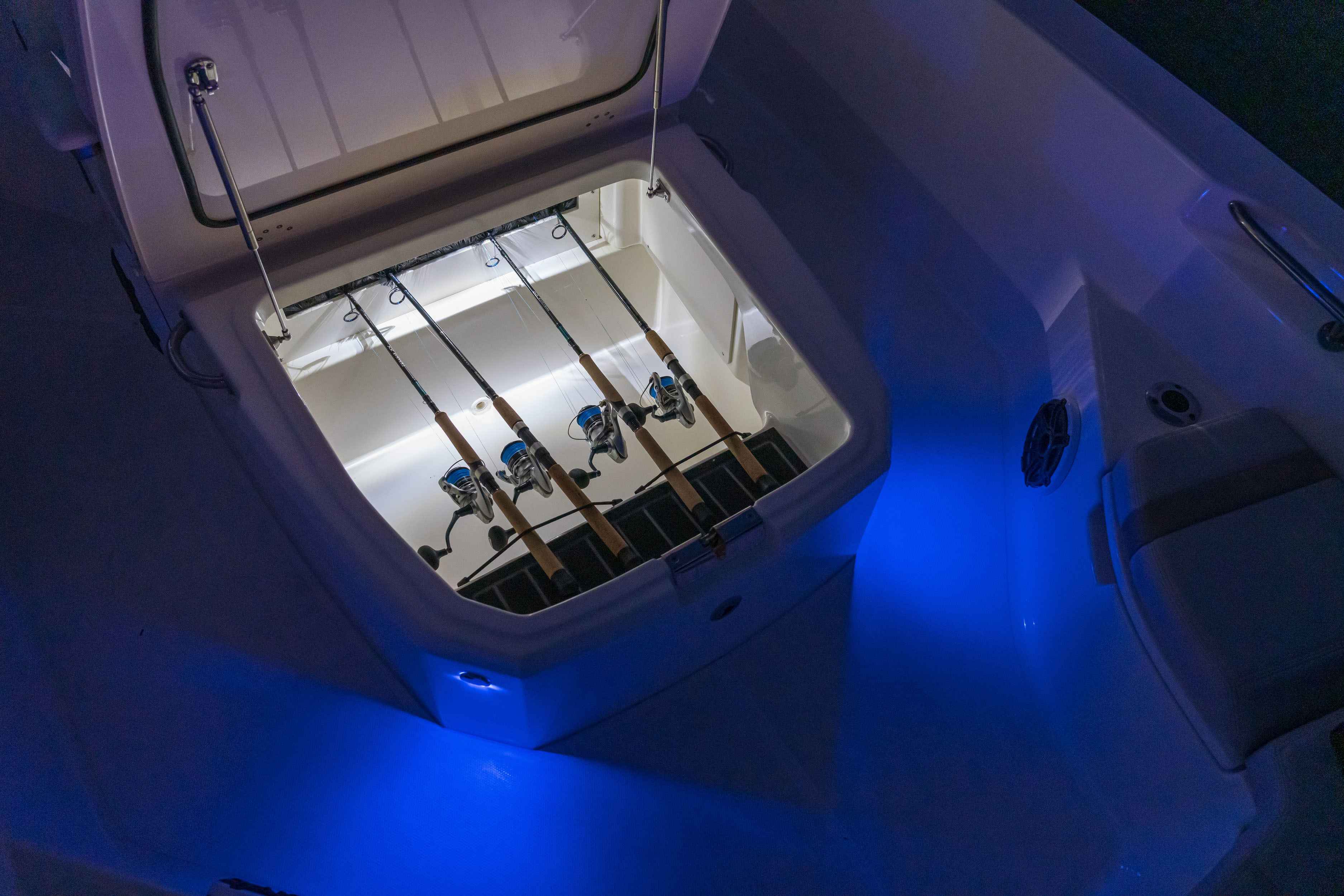 2026 Boston Whaler 250 Dauntless-22