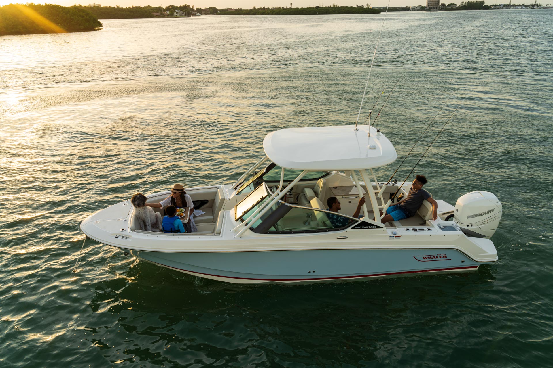 2026 Boston Whaler 240 Vantage -10