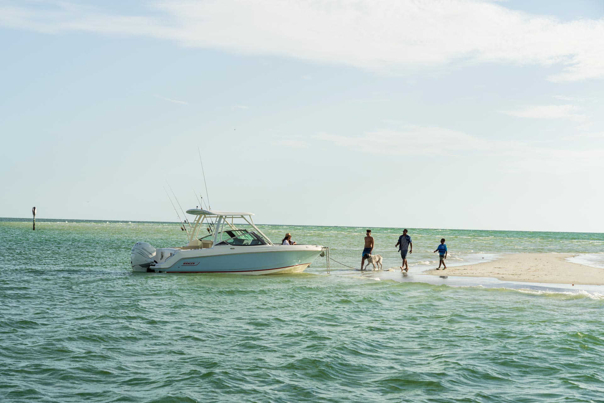 2026 Boston Whaler 240 Vantage -11