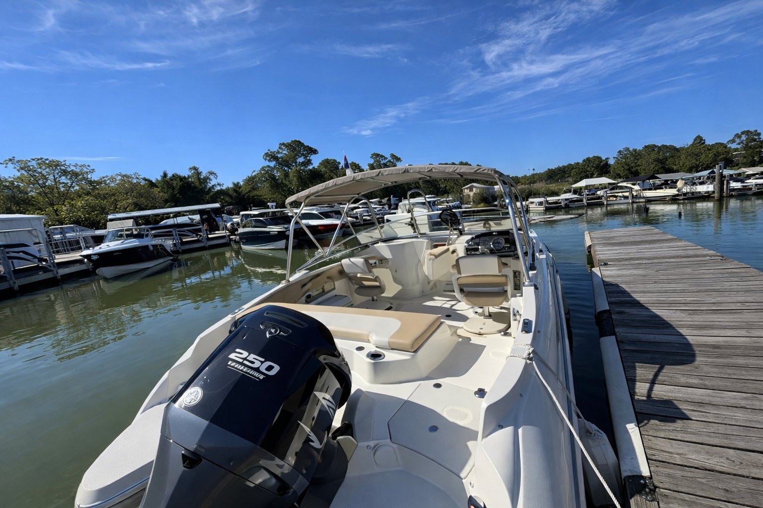 2017 Stingray 234 LR