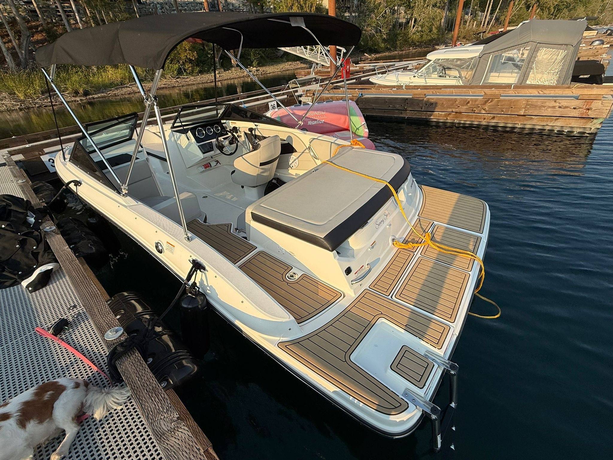 2022 Sea Ray SPX 190-3