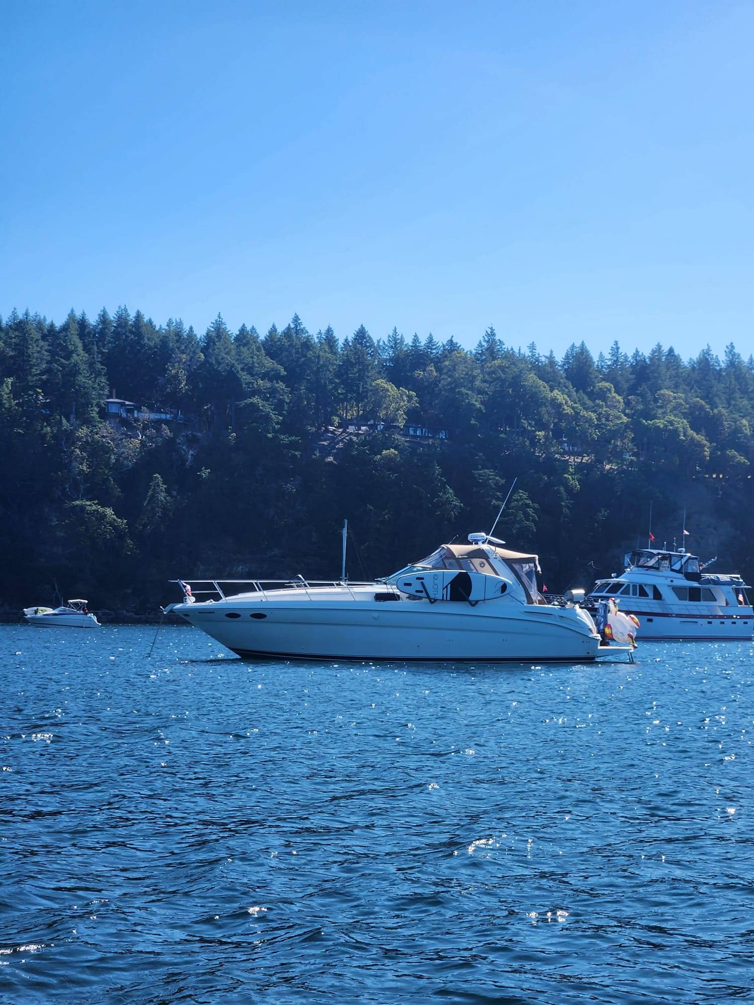 Pre-Owned 2000 Sea ray Sundancer 380 for Sale | Vancouver, BC | M&P Yacht Centre | 63640e094b86ba9ee3014ed6