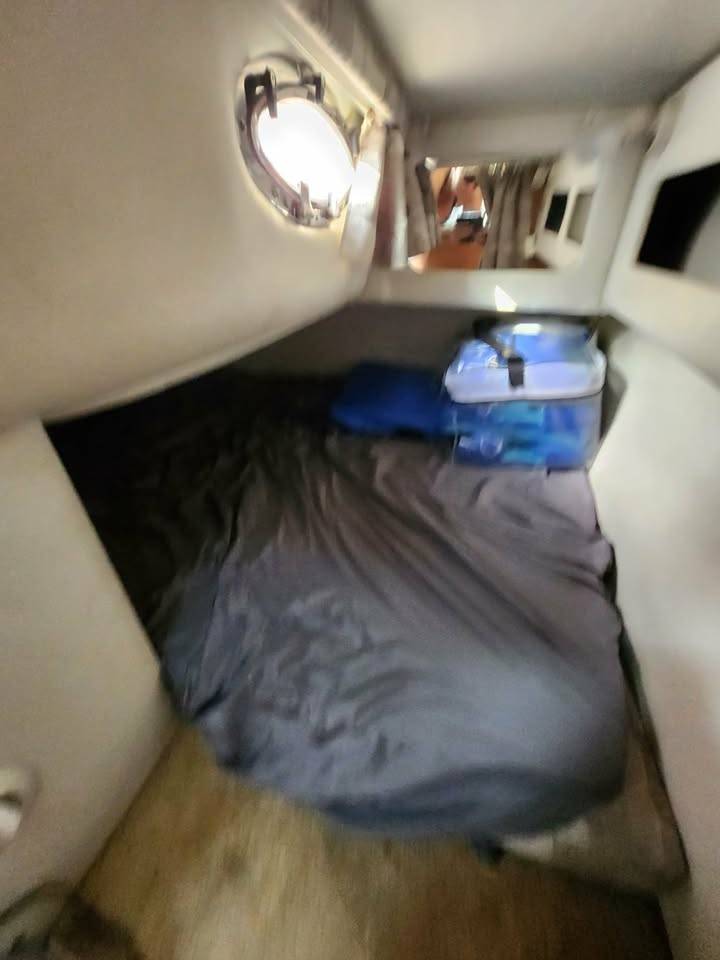 2005 CROWNLINE 270 CR WITH TRIPLE AXLE TRAILER-20