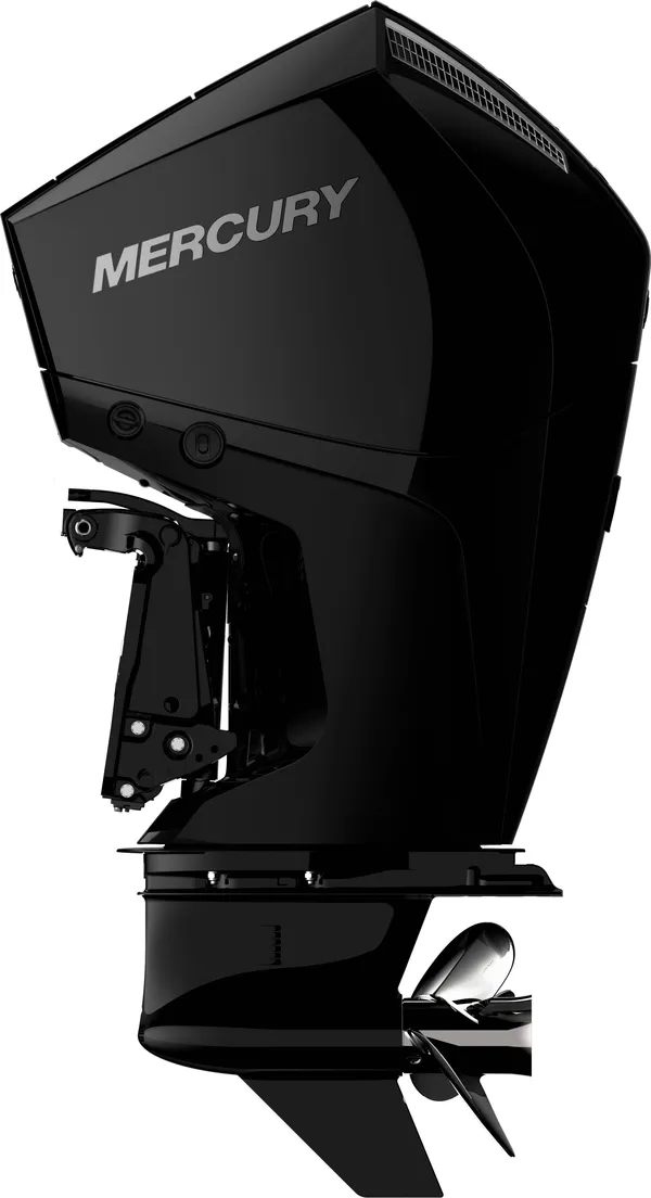 2023 Mercury Marine 200L 4S DTS