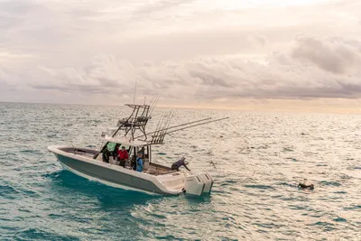New 2027 Boston whaler 360 Outrage for Sale | Vancouver, BC | M&P Yacht Centre | 68e41eab379af45d9002e6cd