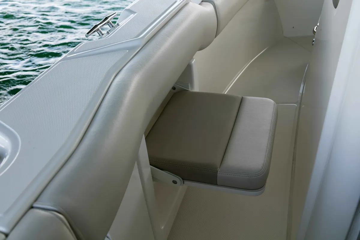 2027 Boston Whaler 250 Outrage-15