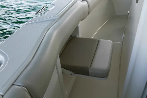 2027 Boston Whaler 250 Outrage-15