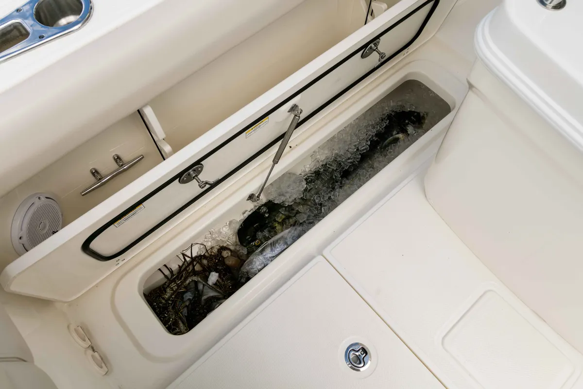 2027 Boston Whaler 250 Outrage-21