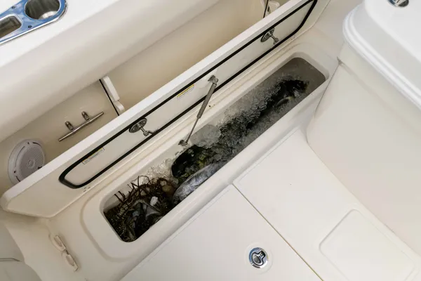 2027 Boston Whaler 250 Outrage-21
