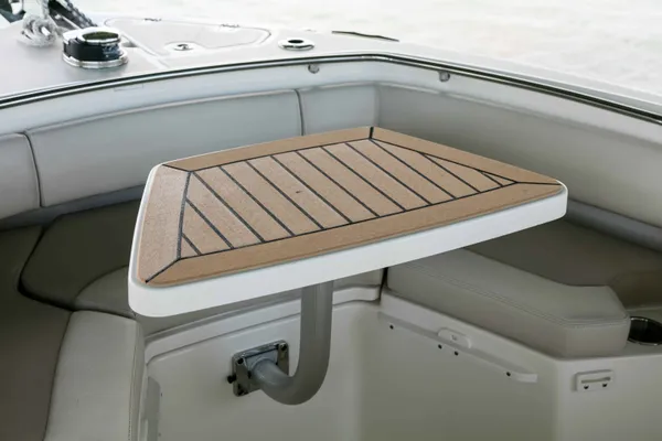 2027 Boston Whaler 250 Outrage-10