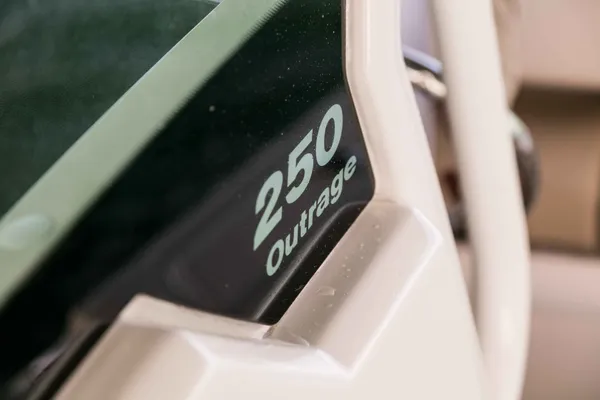 2027 Boston Whaler 250 Outrage-28