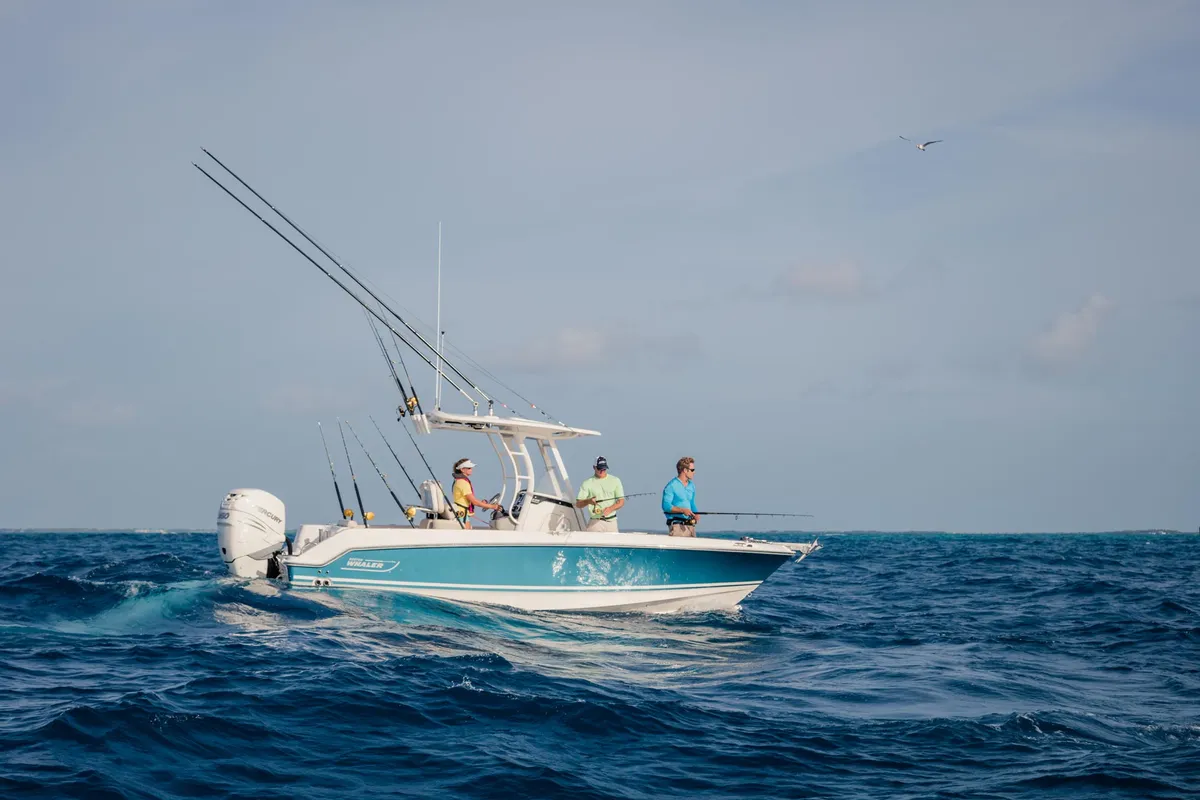 2027 Boston Whaler 230 Outrage -3