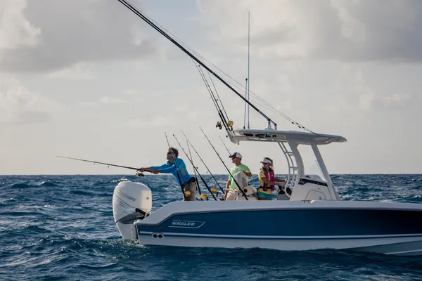 2027 Boston Whaler 230 Outrage -10