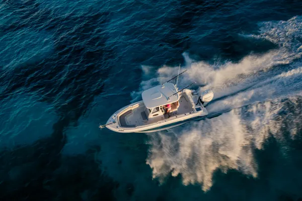 2027 Boston Whaler 230 Outrage -23