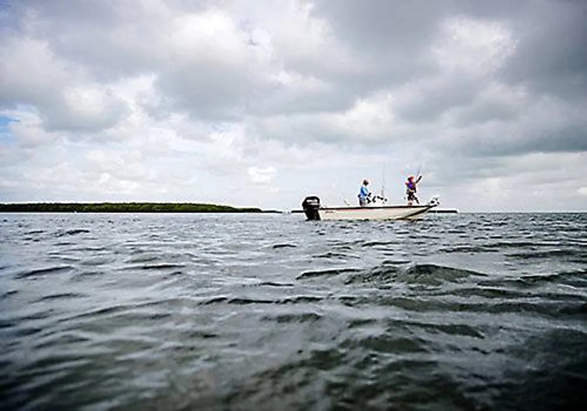 2027 Boston Whaler 170 Montauk -14