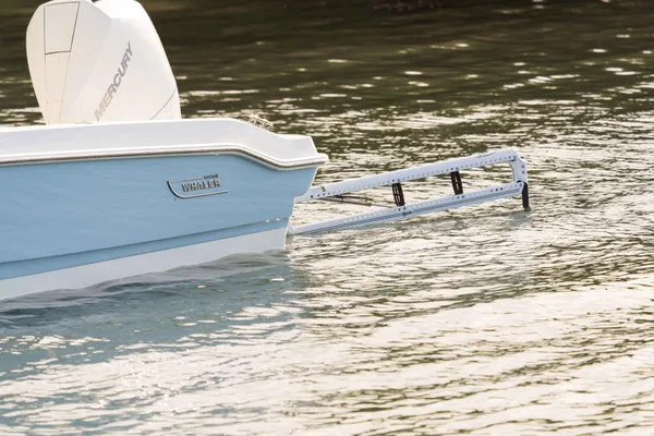 2027 Boston Whaler 220 Dauntless-29