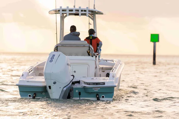 2027 Boston Whaler 250 Dauntless-12