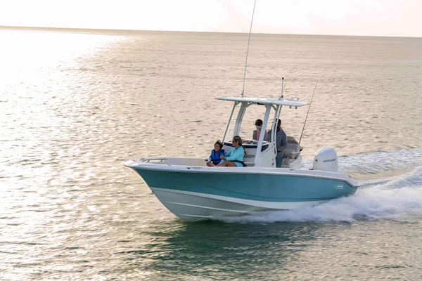 2027 Boston Whaler 250 Dauntless-9