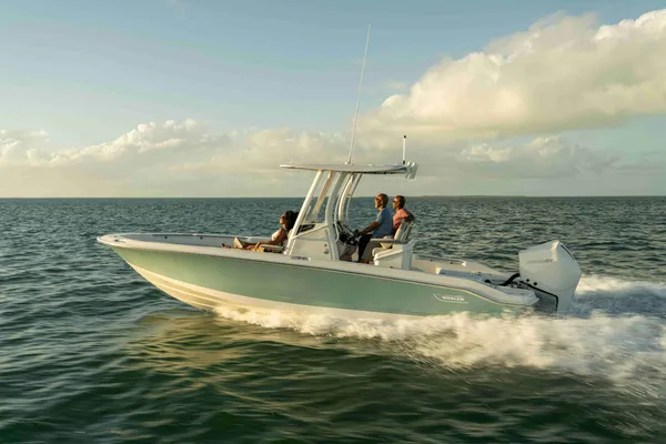 2027 Boston Whaler 250 Dauntless-7