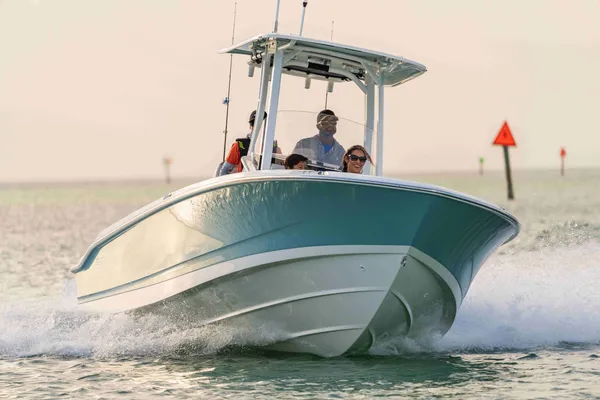2027 Boston Whaler 250 Dauntless-10