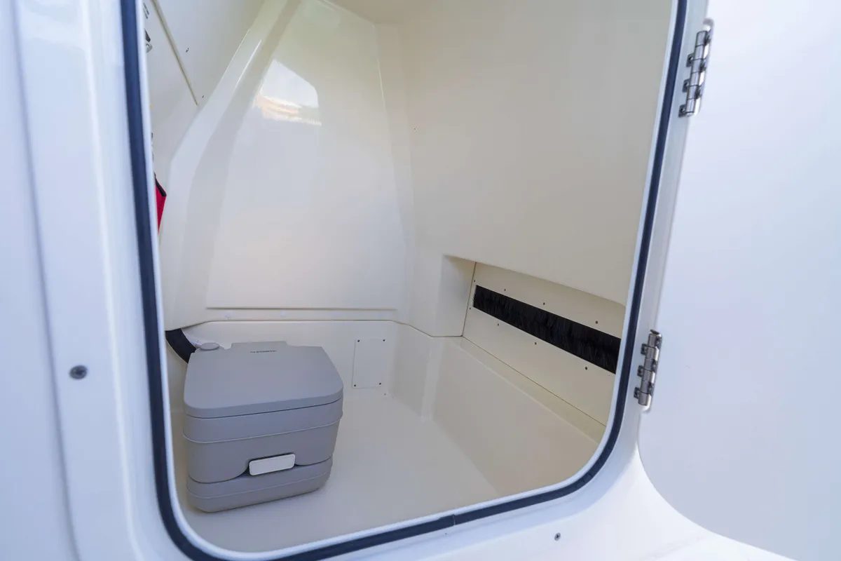 2027 Boston Whaler 250 Dauntless-19