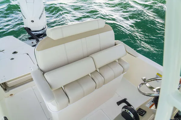 2027 Boston Whaler 250 Dauntless-15