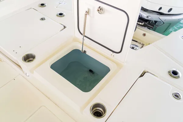 2027 Boston Whaler 250 Dauntless-19