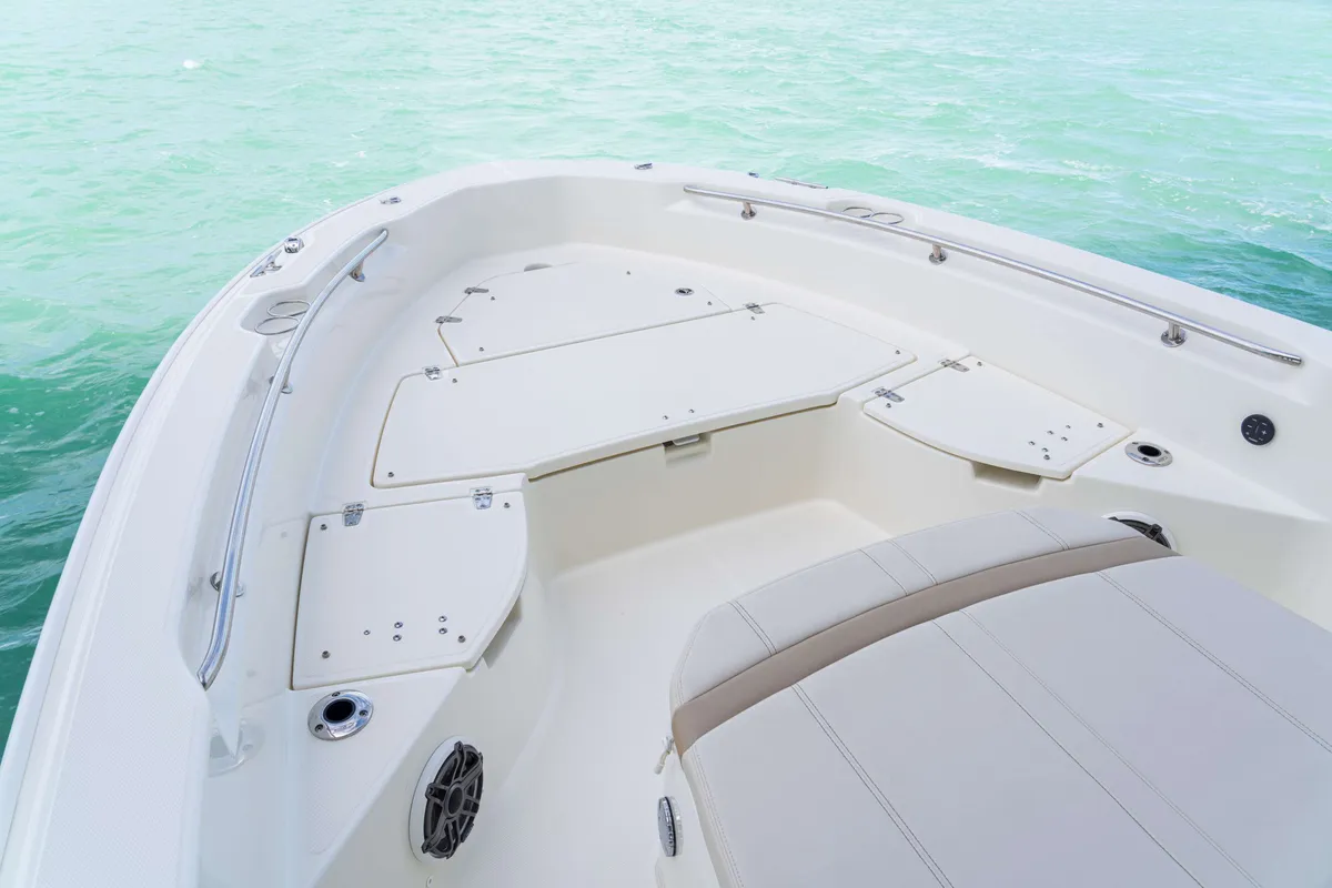 2027 Boston Whaler 250 Dauntless-21