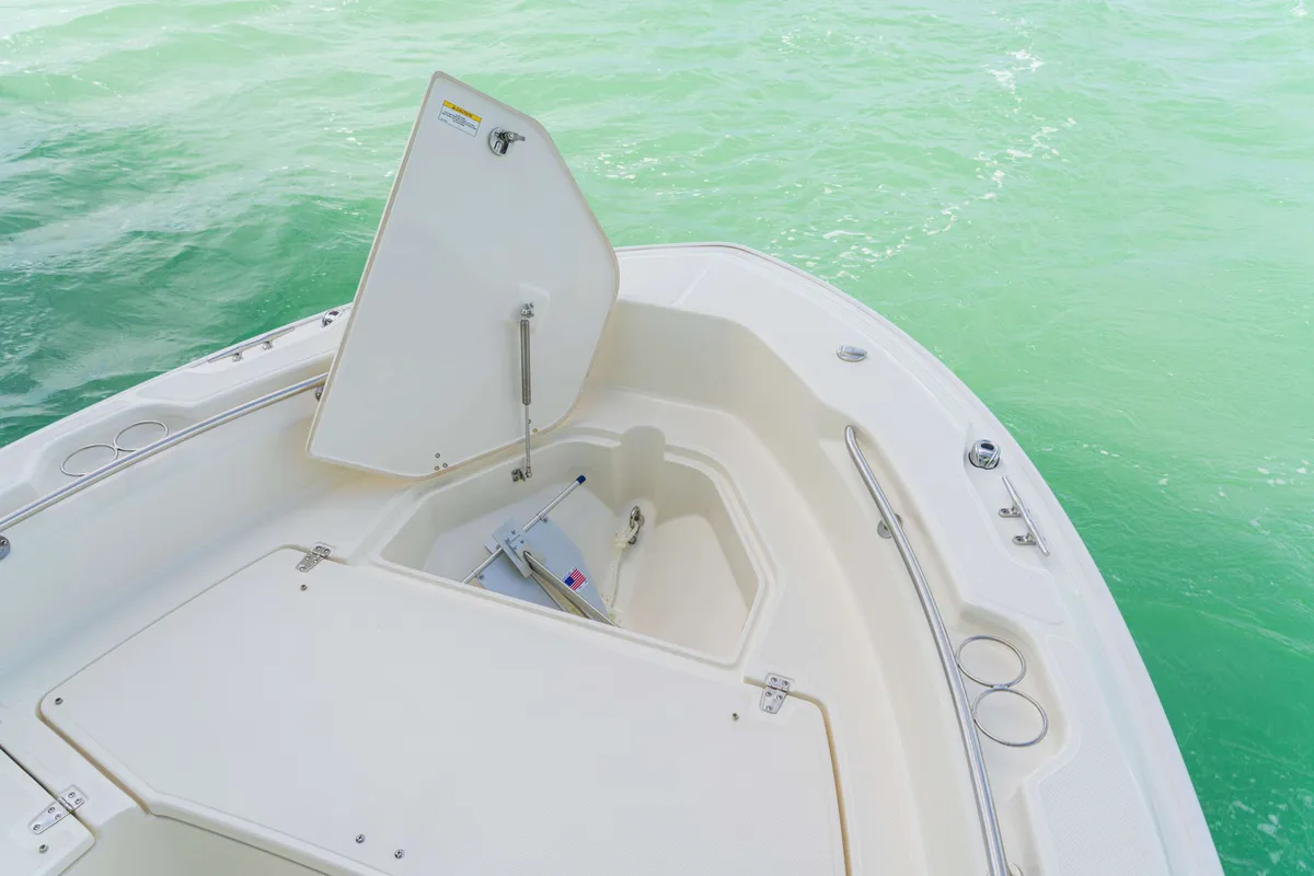 2027 Boston Whaler 250 Dauntless-22