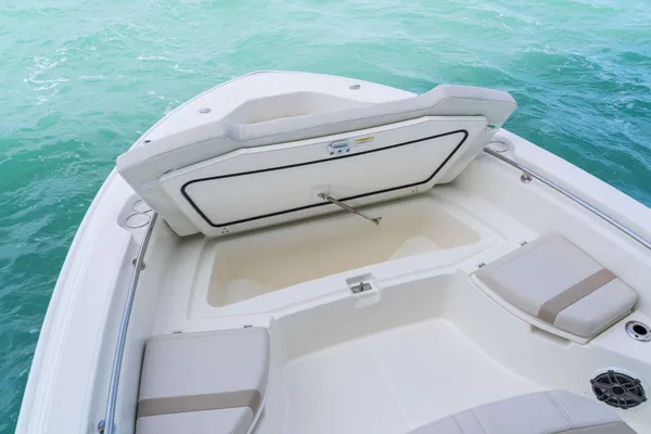 2027 Boston Whaler 250 Dauntless-26