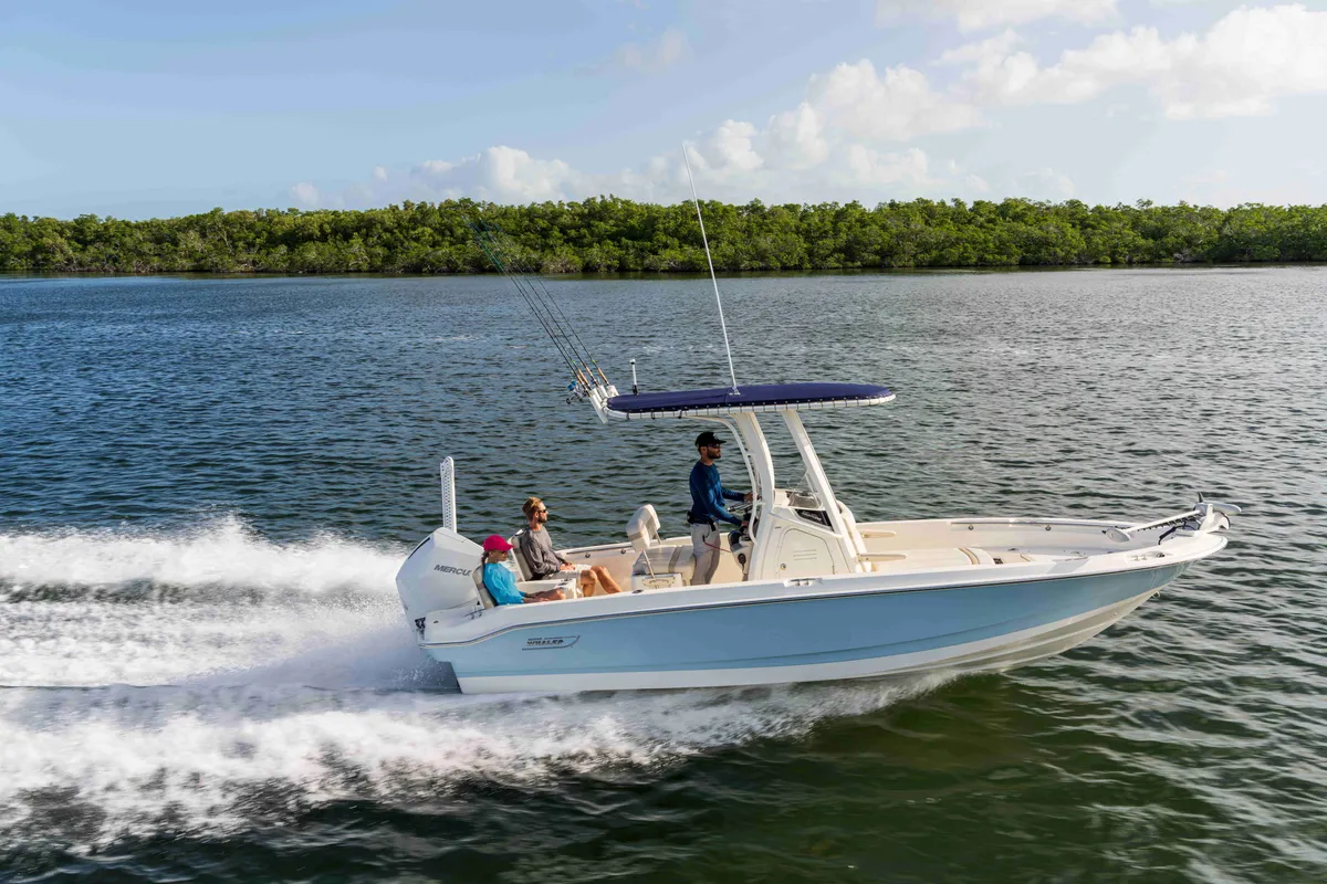 2027 Boston Whaler 250 Dauntless-33