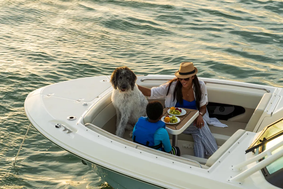2027 Boston Whaler 240 Vantage -8
