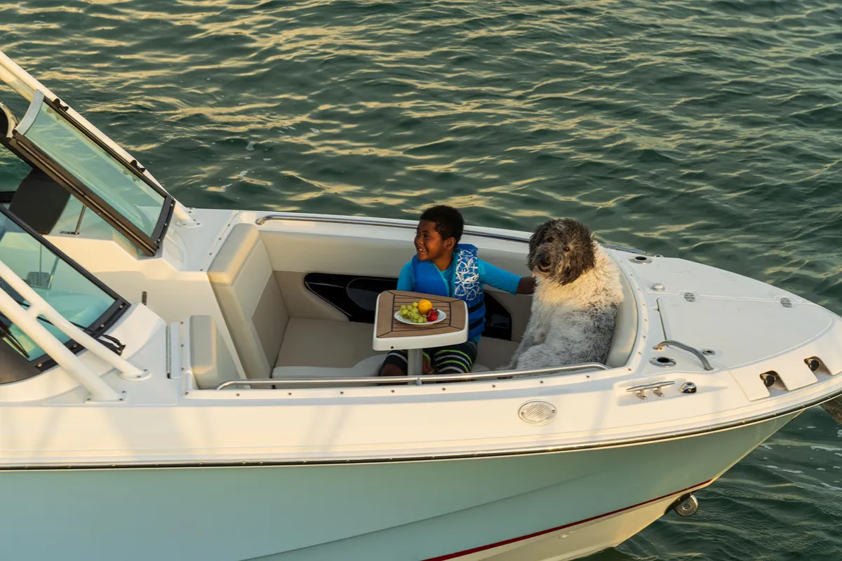 2027 Boston Whaler 240 Vantage -9