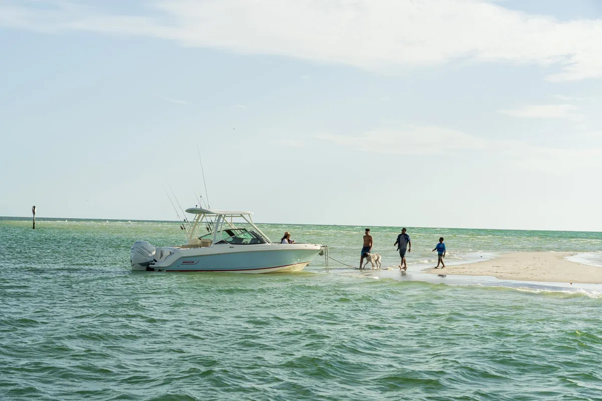 2027 Boston Whaler 240 Vantage -11