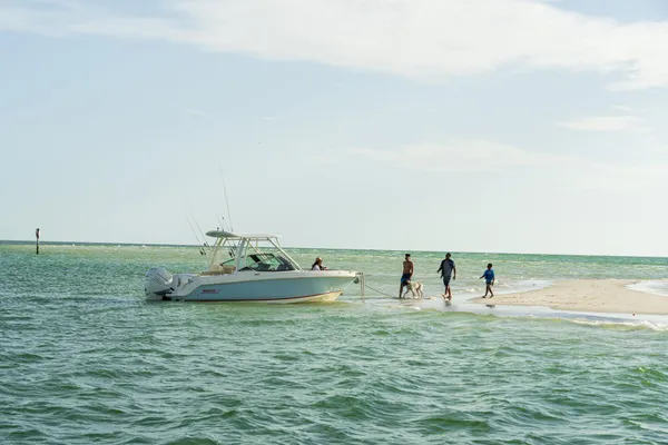 2027 Boston Whaler 240 Vantage -14