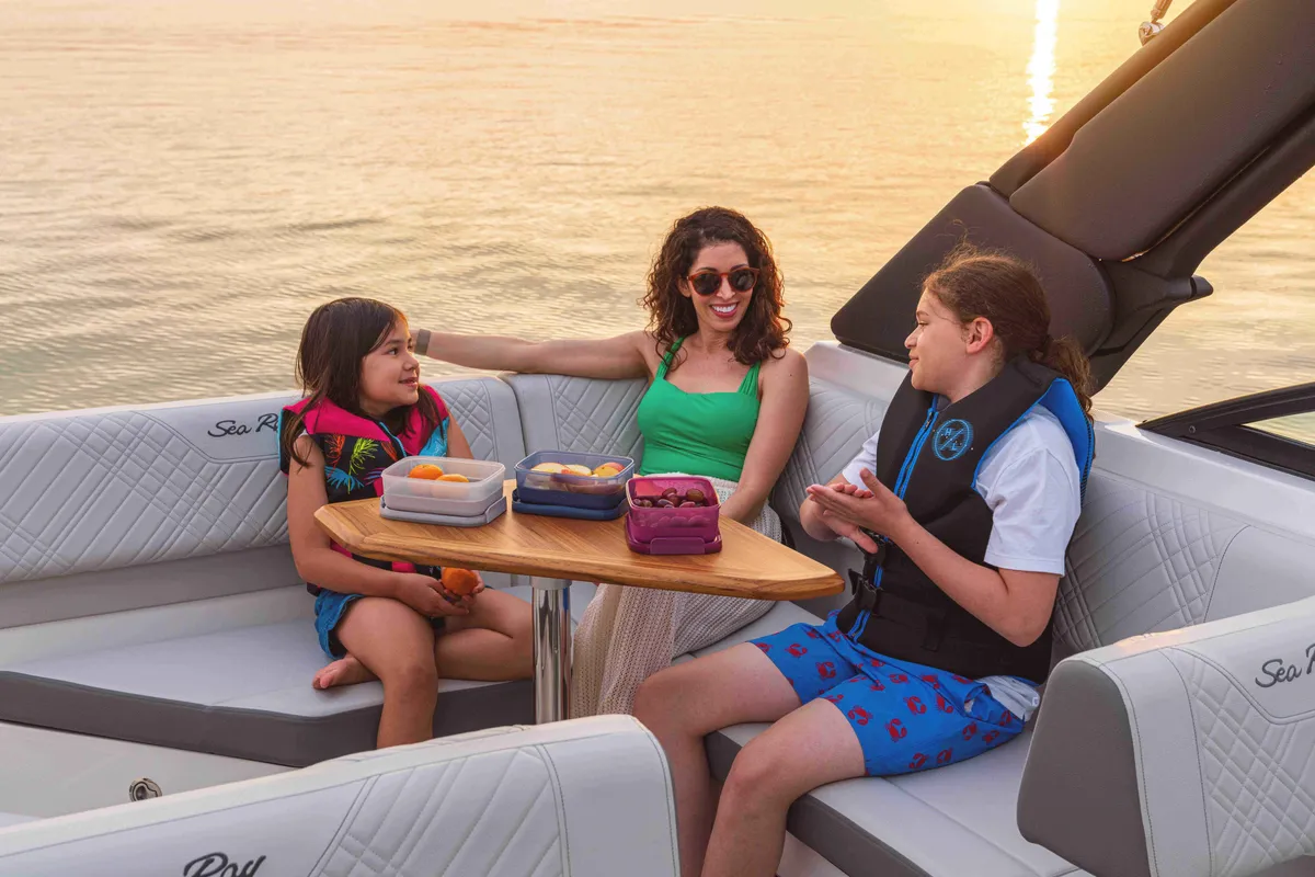2027 Sea Ray SDX 250 -10