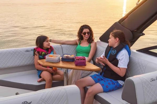 2027 Sea Ray SDX 250 -11