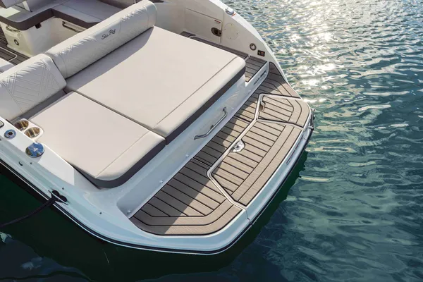2027 Sea Ray SDX 250 -14