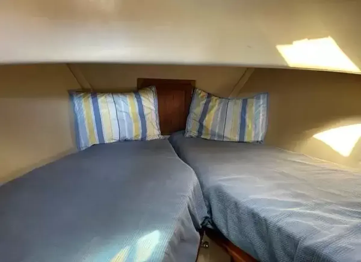 dummy-boat-img