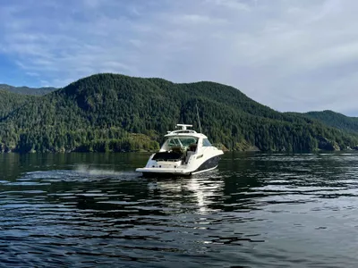 Pre-Owned 2012 Sea ray 450 Sundancer for Sale | Vancouver, BC | M&P Yacht Centre | 67a6cb87b65a37a06e0243ef