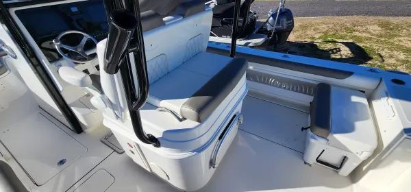2023 World cat 295 CC