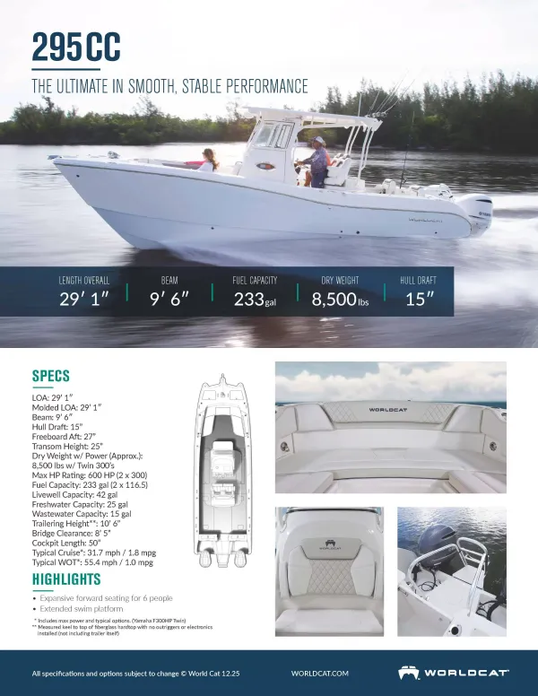 2023 World cat 295 CC