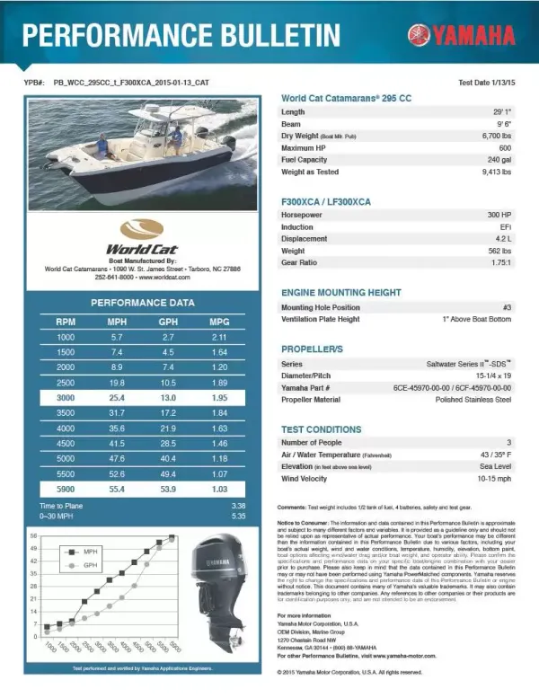 2023 World cat 295 CC